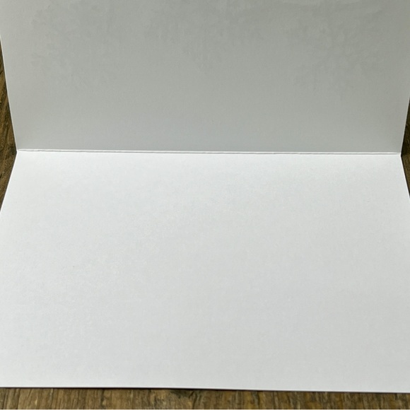 Blank season’s greetings cards - 12 pack - Picture 3 of 3